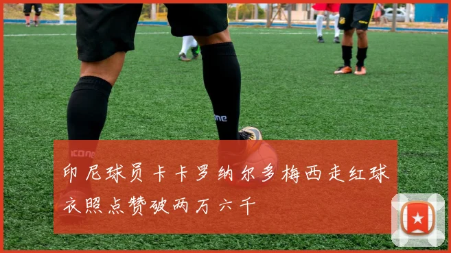 印尼球员卡卡罗纳尔多梅西走红球衣照点赞破两万六千