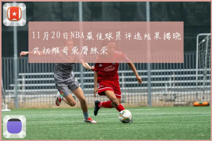 11月20日NBA最佳球员评选结果揭晓武切维奇荣膺殊荣