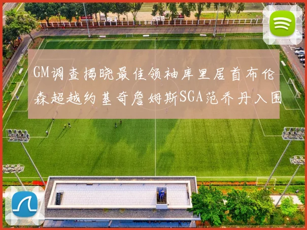 GM调查揭晓最佳领袖库里居首布伦森超越约基奇詹姆斯SGA范乔丹入围