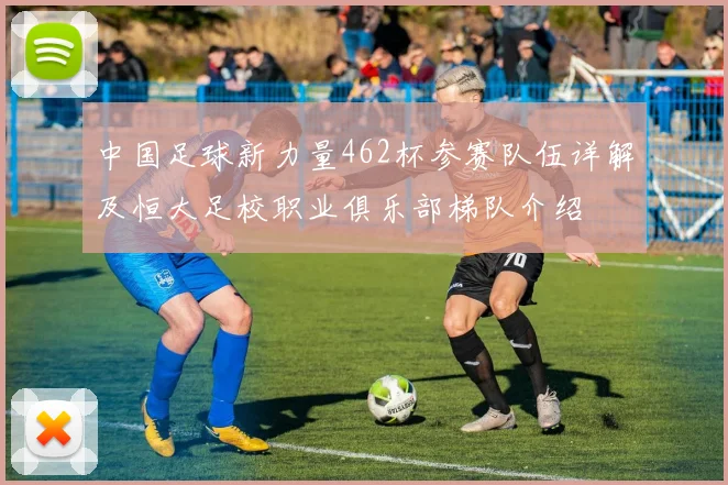 中国足球新力量462杯参赛队伍详解及恒大足校职业俱乐部梯队介绍