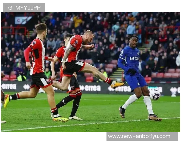 卢顿主帅布鲁姆菲尔德被解雇本赛季英甲战绩仅为5胜1平5负